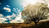 /album/hinh-%e1%ba%a3nh-thien-nhien/landscape-4k-wallpapers-by-telasm-deviantart-com-31-jpg/